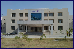 zydus college