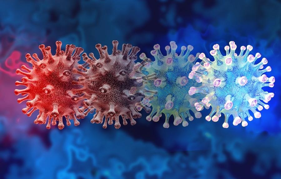 coronavirus variants