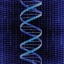 Comprehensive clinical sequencing can open doors to precision medicine: New study