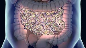 Gastrointestinal problems