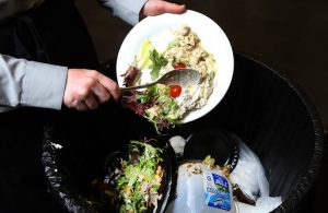 images 8
