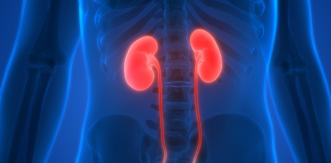 kidney disease