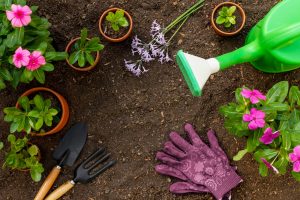 gardening