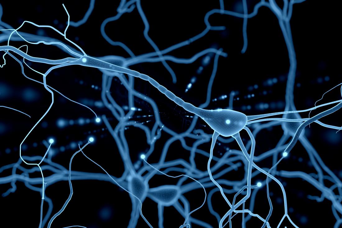ptsd neuro