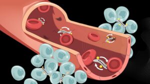 tumor bacteria