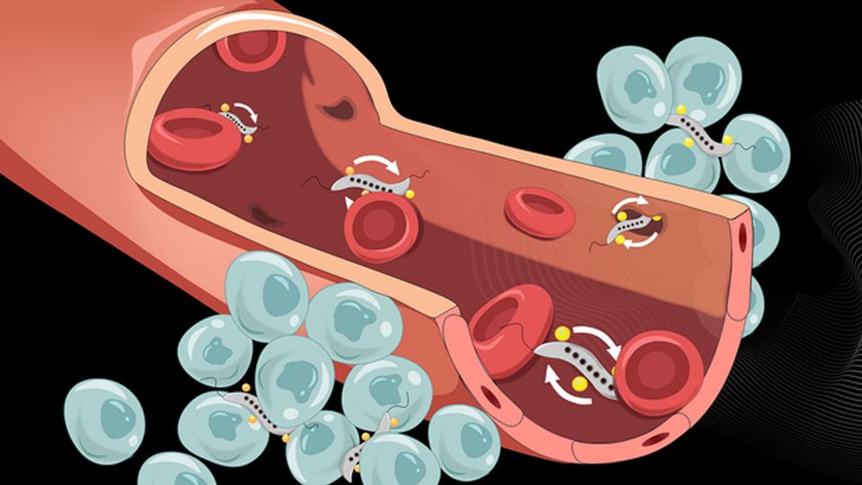 tumor bacteria
