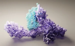 proteins
