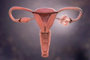 shutterstock 2029425530 CE 1024x683 1