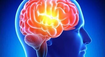 Watch Video: Proven Methods to Boost Your Brain Health and Fitness