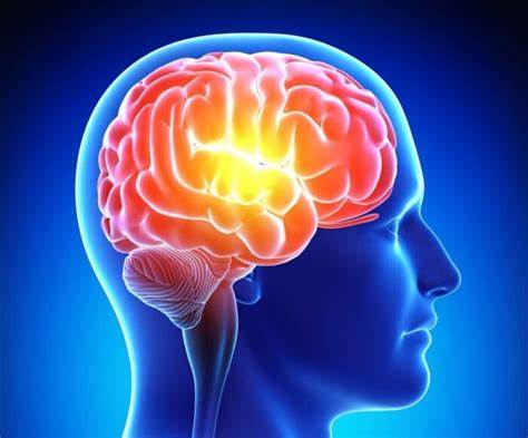 Watch Video: Proven Methods to Boost Your Brain Health and Fitness