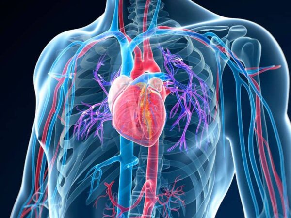 Statin Breakthrough: Study Shows Remarkable Heart Disease and Mortality Reduction in Elderly Adults
