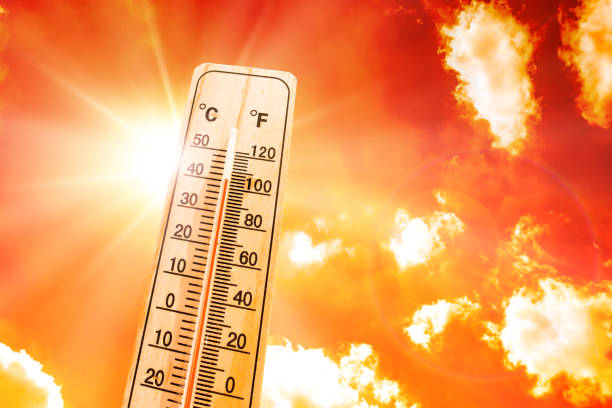 Beat the Heat: Watch the Video for Essential Summer Tips from Ayurveda!
