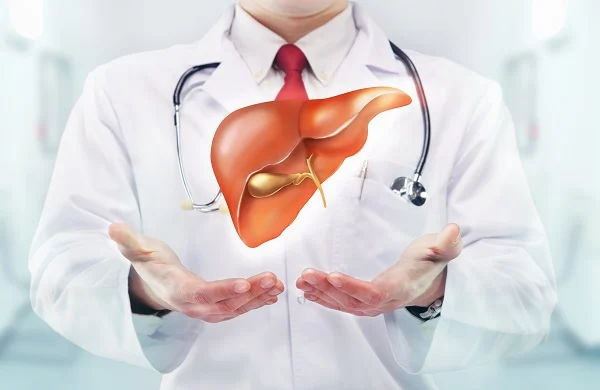 The Liver Cleanse Myth: Separating Fact from Fiction for Optimal Liver Health