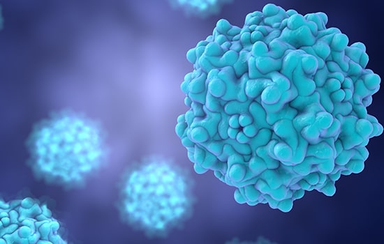 Unveiling Nidoviruses: The Silent Threat Behind Potential Pandemics Explained!