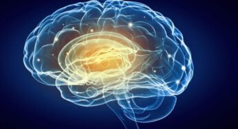 Five Ways to Stimulate the Brain and Prevent Early Disorders