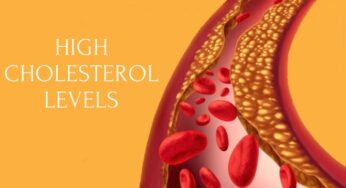 Can High Cholesterol Alone Give You a Heart Attack? Here’s Good News