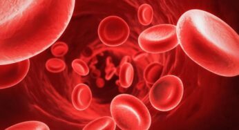 Critical Tips for Managing Low Platelets in Dengue: Watch Our Video for Expert Advice