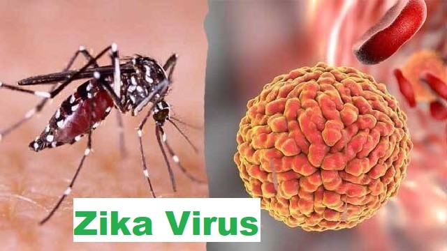 Zika Shock in Pune: Six Cases Detected, Including Pregnant Women! City Battles Mosquito-Borne Threat - Watch Now for Expert Advice & Prevention Tips!