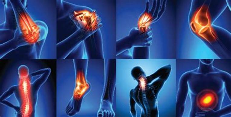 Conquer Joint and Muscle Pain Naturally: The Ayurvedic Path to Lasting Relief and Wellness