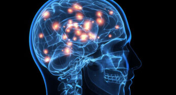 BOOSTING BRAINPOWER: EFFECTIVE EXERCISES TO SHARPEN YOUR MIND