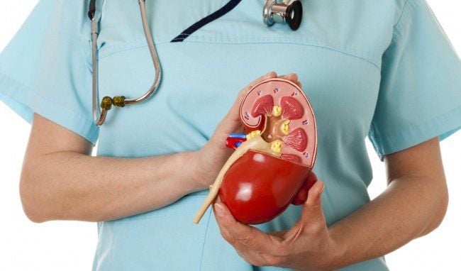 Effective Home Remedies to Lower Creatinine Levels and Support Kidney Health