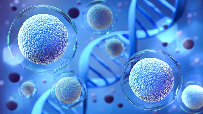 New Research Highlights Stem Cells As Potential Cure For Diabetes