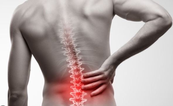 Rakul Preet Singh’s Setback: Key Strategies for Strengthening Back Muscles and Preventing Injury