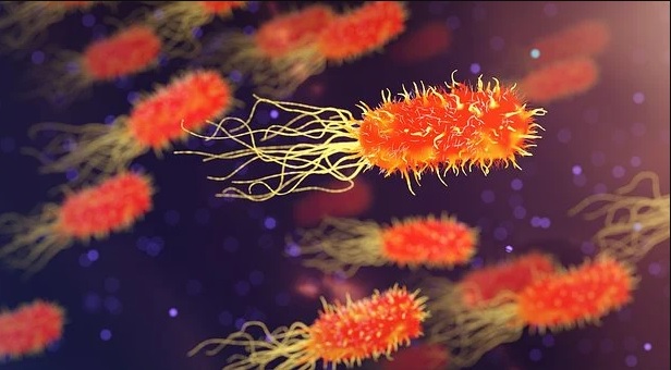 "ICMR Report Reveals Alarming Rise in Antibiotic Resistance: A Growing Threat to UTIs, Typhoid, and Pneumonia!"