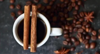 THE SCIENCE BEHIND CINNAMON IN COFFEE: CAN IT REALLY HELP YOU LOSE WEIGHT?