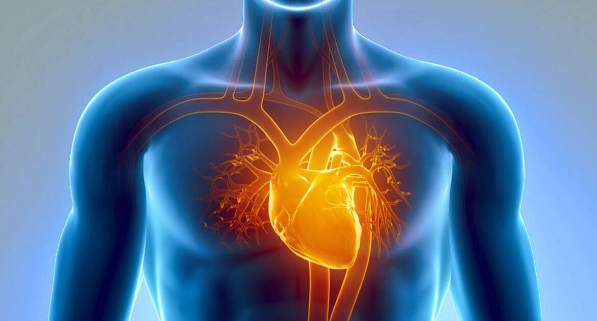 Air Pollution and Heart Disease: How The Toxic Air is Putting Your Heart at Risk