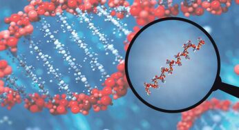 WHAT IS MICRORNA? UNDERSTAND THE NOBEL-PRIZE WINNING DISCOVERY BY AMBROS AND RUVKUN