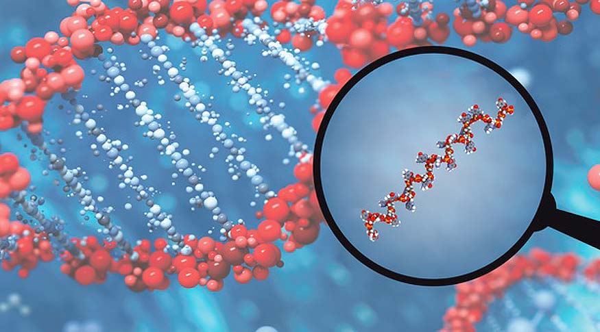 What is MicroRNA? Understand The Noble-Prize Winning Discovery By Ambros and Ruvkun