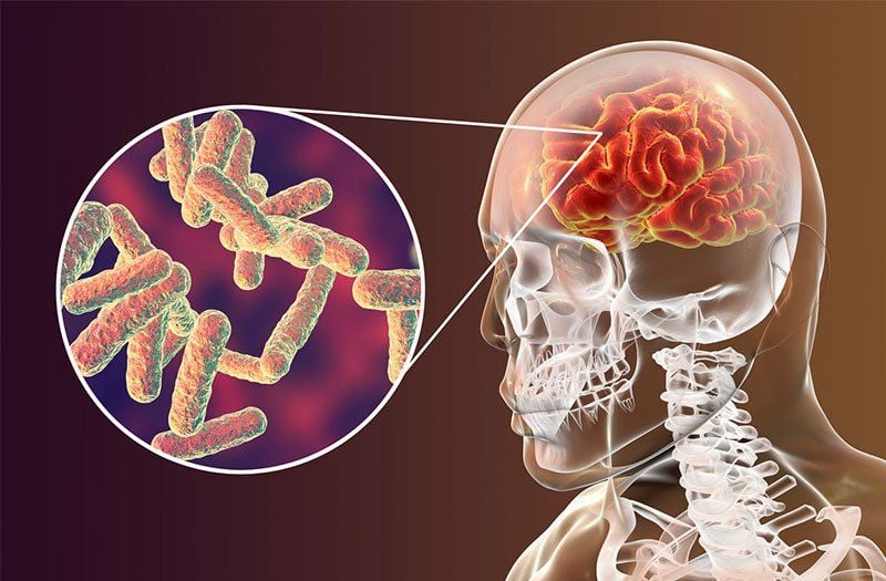 Indian Scientists Develop Breakthrough Nasal Delivery System for Treating Brain Tuberculosis