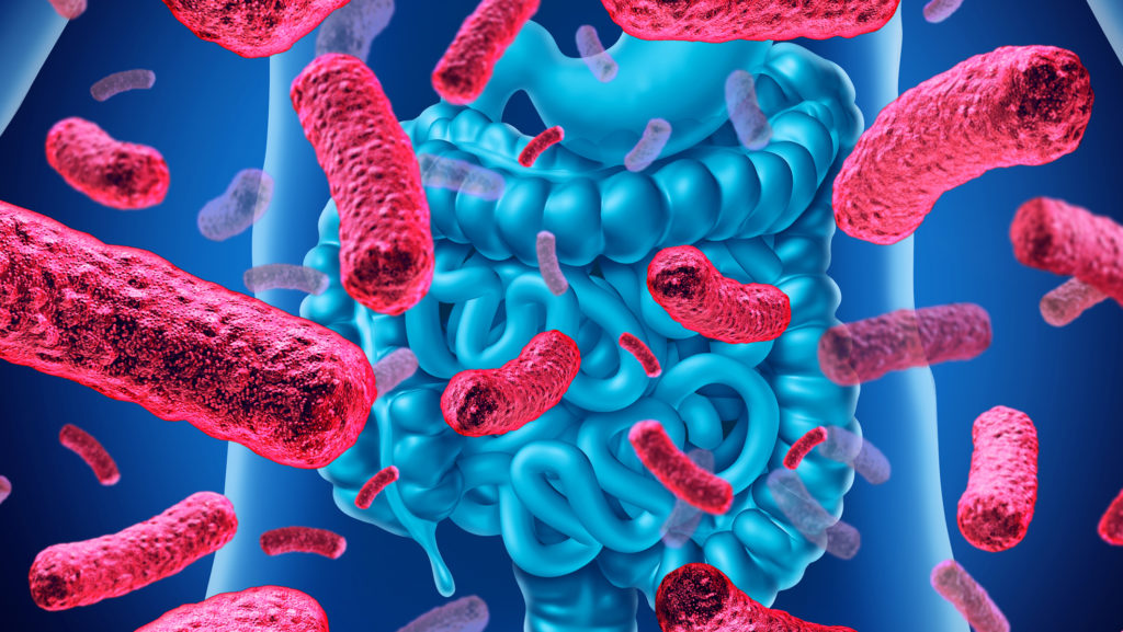 Certain Probiotics Show Potential to Improve Treatment Outcomes for Parkinson's Disease