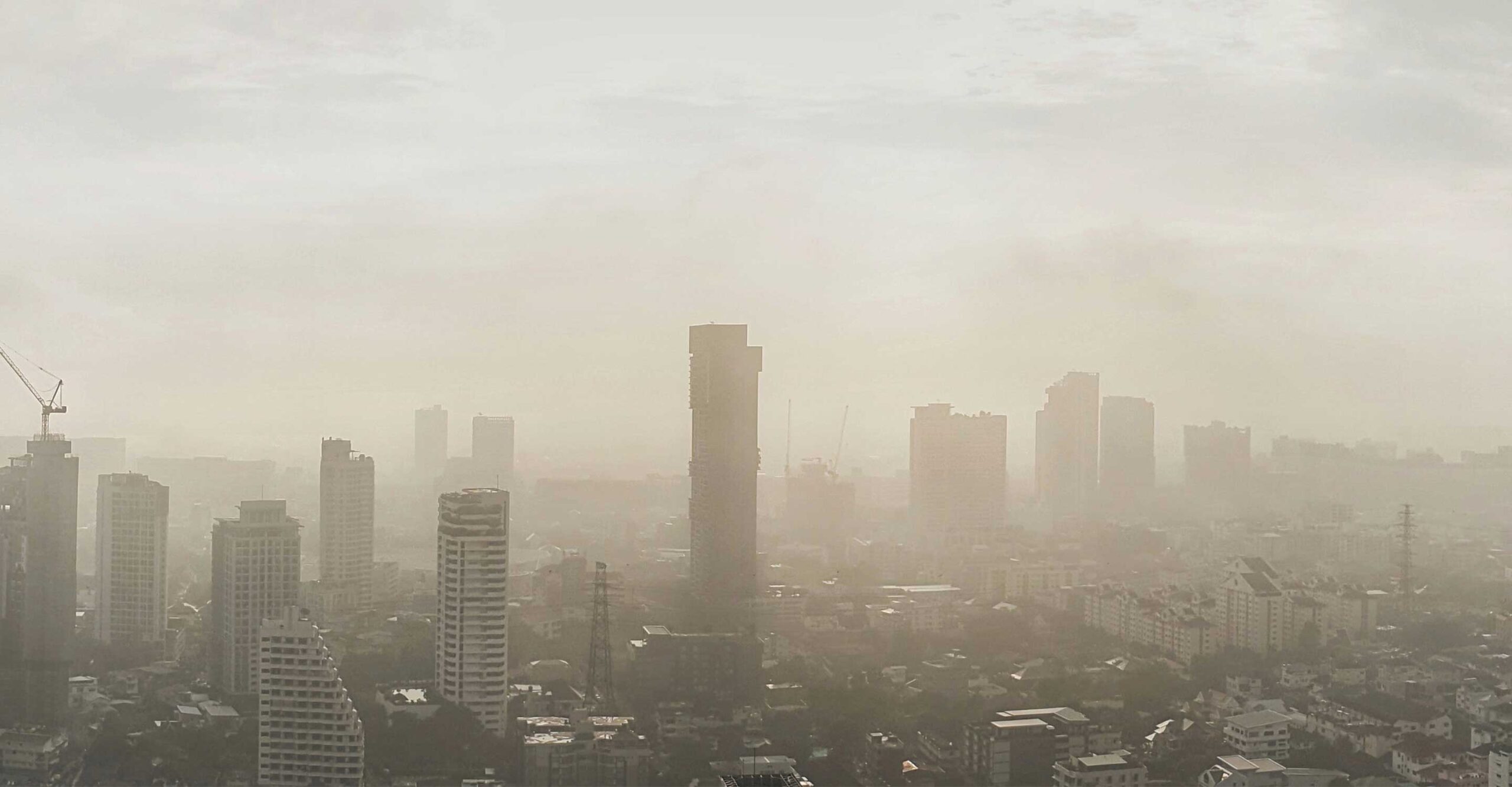 Air Quality and Body Weight: Uncovering the Relationship Between Pollution and Obesity