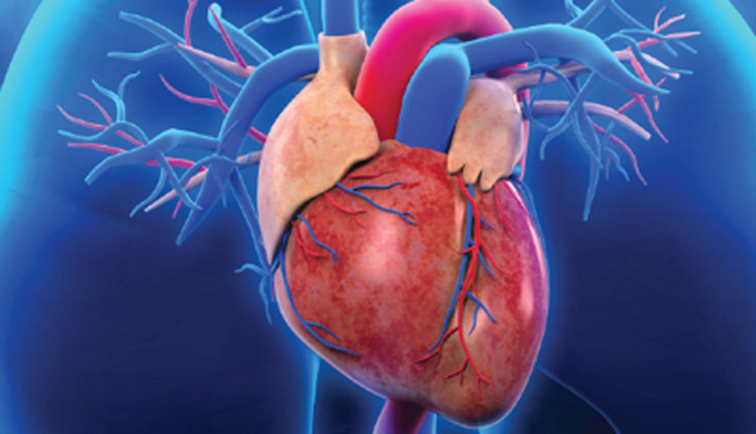 "Clear Your Arteries Naturally: Effective Ways to Reduce Heart Blockage and Boost Heart Health"