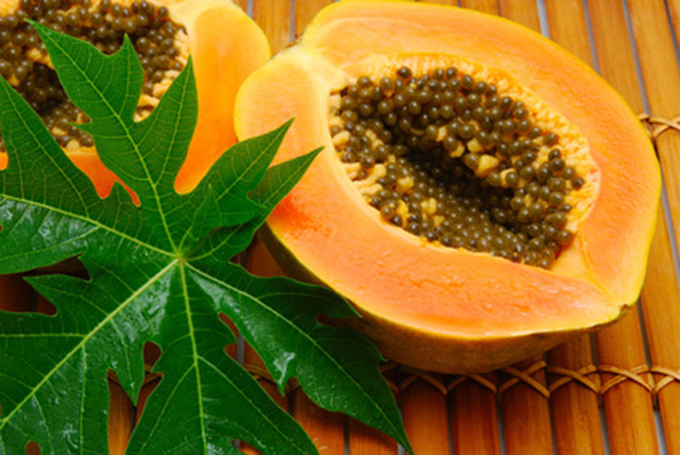 "Watch: Unlock the Incredible Health Benefits of Papaya Leaves – A Natural Remedy for Lifelong Wellness!"