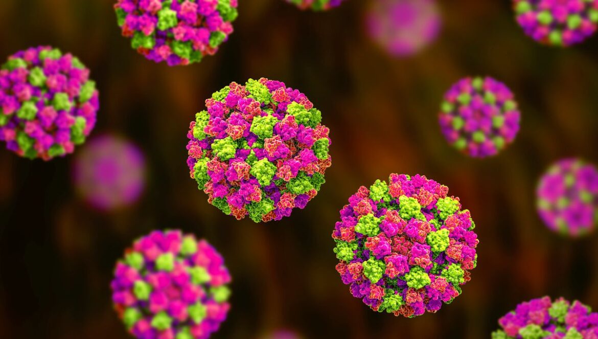Norovirus Causes, Symptoms, and Prevention Tips