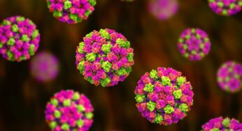 Norovirus: Causes, Symptoms, and Prevention Tips