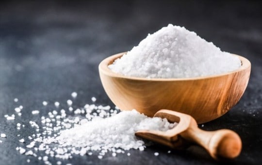 WHO Urges Switch to Low-Sodium Salt to Save Millions of Lives