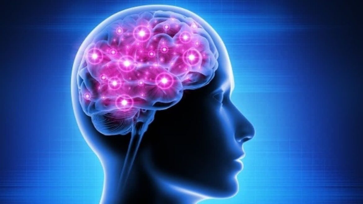 Brain Power: The Hidden Code Behind Neural Coordination