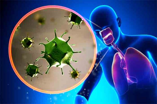 Bird Flu vs COVID-19 vs Flu: Which One Poses the Biggest Threat