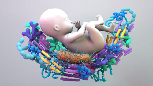 Vaginal Seeding: A Newborn’s First Dose of Immunity