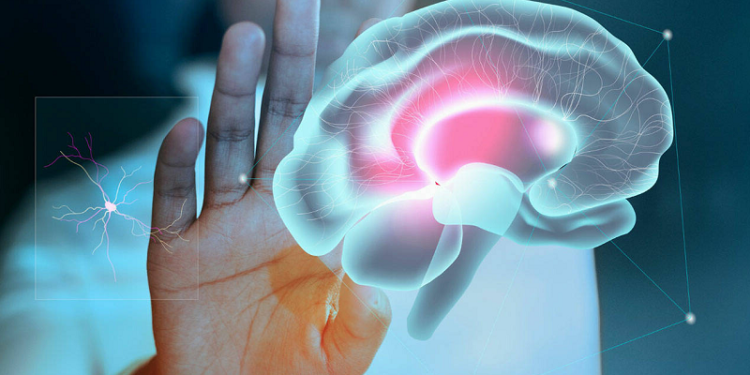 Why Your Brain Takes 8 Minutes to Realize You're Full
