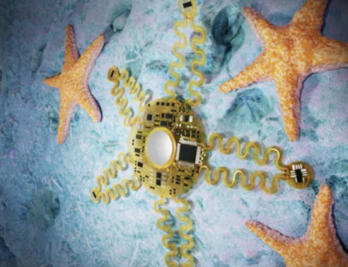 SCIENTISTS DEVELOP STARFISH-INSPIRED SMART WEARABLE FOR REAL-TIME HEART MONITORING
