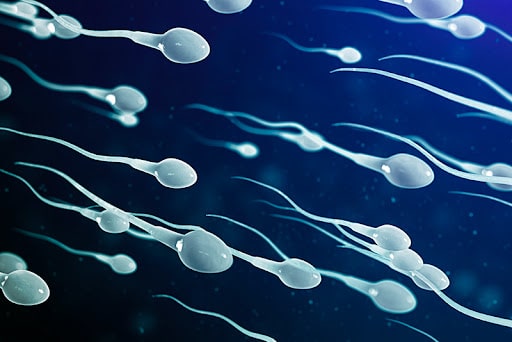 GROUNDBREAKING SPERM TRANSPLANT OFFERS HOPE TO INFERTILE CANCER SURVIVOR BY AIMING TO RESTORE FERTILITY